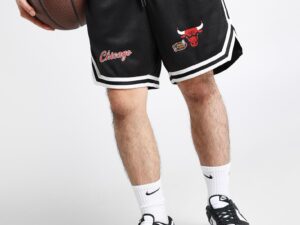 Chicago Bulls Mesh Shorts